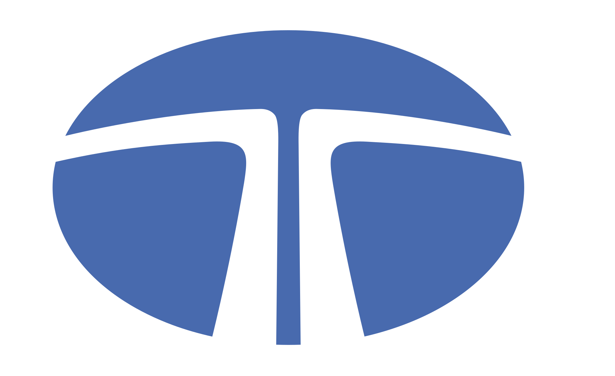 Tata logo